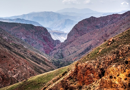 ԳՆԻՇԻԿԻ ԿԻՐՃ (ՔԱՅԼԱՐՇԱՎ)