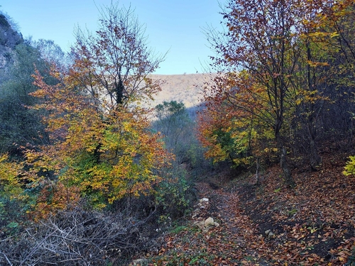 MTNADZOR (HIKING)