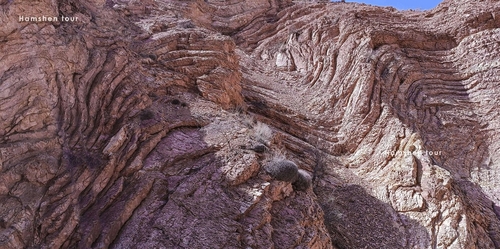 ՎԱՐԴԱԳՈւՅՆ ԿԻՐՃ (ՔԱՅԼԱՐՇԱՎ)